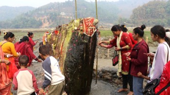 तालबेसी फाँटको अनौठो रुखको ठुटो हेर्नेको भीड, निरन्तर झरिरहेछ पानीको धारा