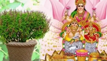 आज हरिबोधनी एकादशीः भगवान् विष्णु जागा भएको दिन