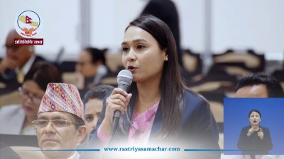 सांसद डाँगीको प्रश्न :संसद् भवनका कुर्सी स्वदेशी काठका हुन् कि विदेशी?