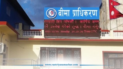 बीमा प्राधिकरणमा निर्देशकहरूको जिम्मेवारी हेरफेर