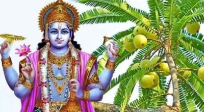 मिथिलाञ्चलमा आज अक्षय नवमी पर्व मनाइँदै 