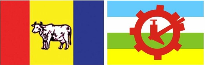 राप्रपा र राप्रपा प्रजातान्त्रिकले राष्ट्रिय दलको मान्यता नपाउने भएको छ ।