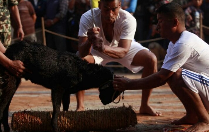 नेपाली सेनाद्वारा कोतपूजा सम्पन्न