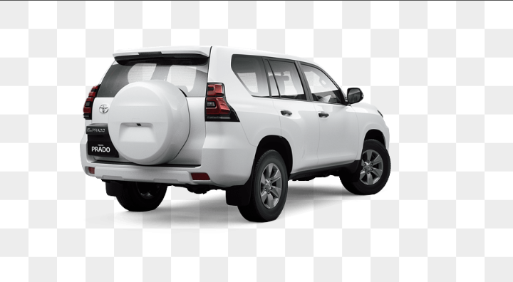 मेलम्ची आयोजनाका गाडीमा पहुँचवालाको मस्ती