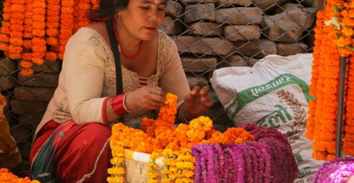 मखमलीकाे माला सस्ताे, सयपत्रीकाे महंगाे