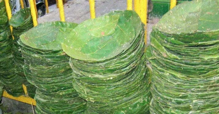 महिला दुनाटपरी उद्योगतर्फ आकर्षित