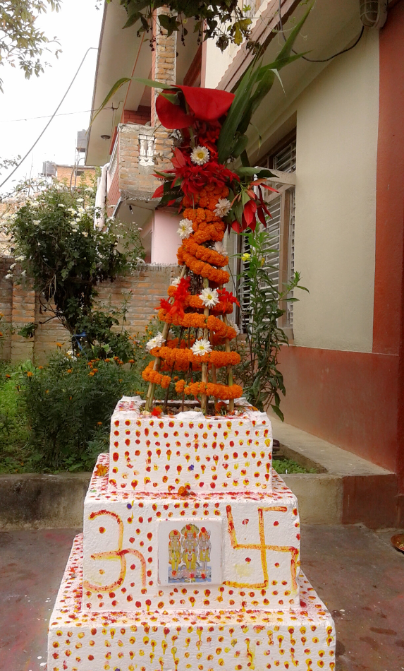 अाज हरिबोधिनी एकादशी, तुलसीको पूजा गरि मनाईदै