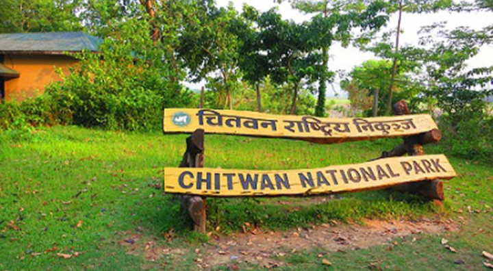 निकुञ्जमा भटाभट छावा जन्मिए