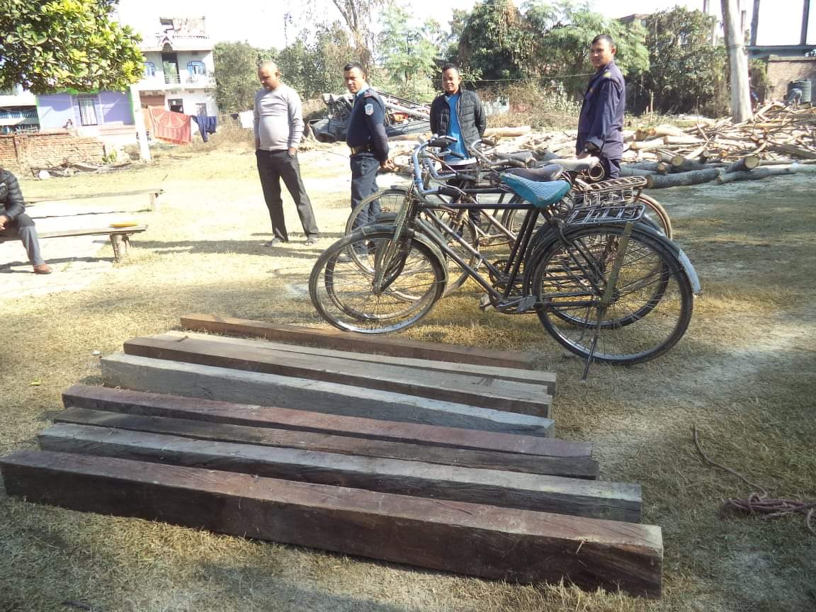 तस्करहरुले सिरहाको जंगलबाट ल्याउँदै गरेको अवैद्य काठ बरामद