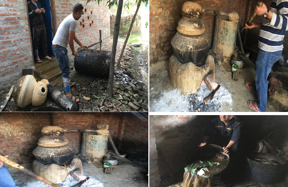 अवैध मदिरा बनाउने कच्चा पदार्थ नष्ट