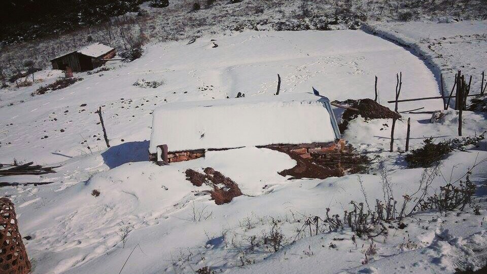 हिमपातका कारण खान नपाएर मुस्ताङमा १४ सय पशु मरे