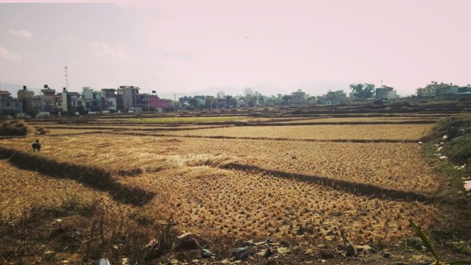 सुकुम्बासीका नाममा कार्यकर्तालाई जग्गा बाँड्ने सरकारको तयारी