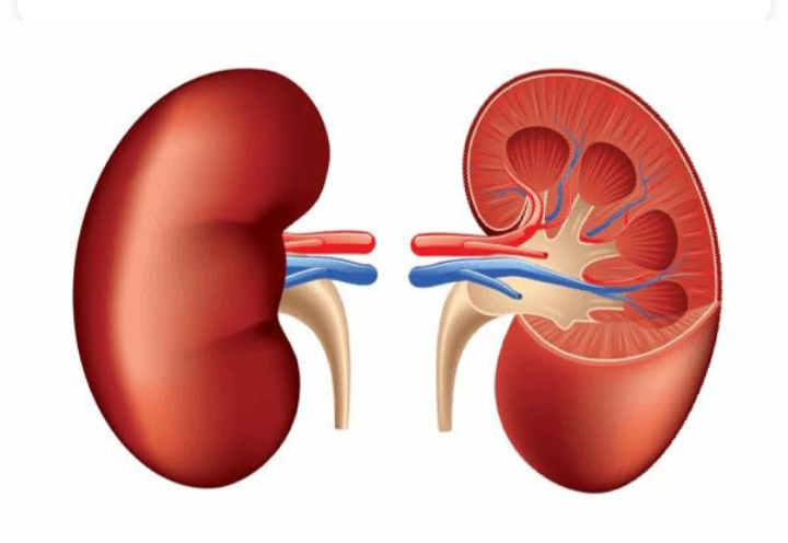 ‘साना कुरामा ध्यान दिए पनि मिर्गौलासम्बन्धीको रोग लाग्दैन’
