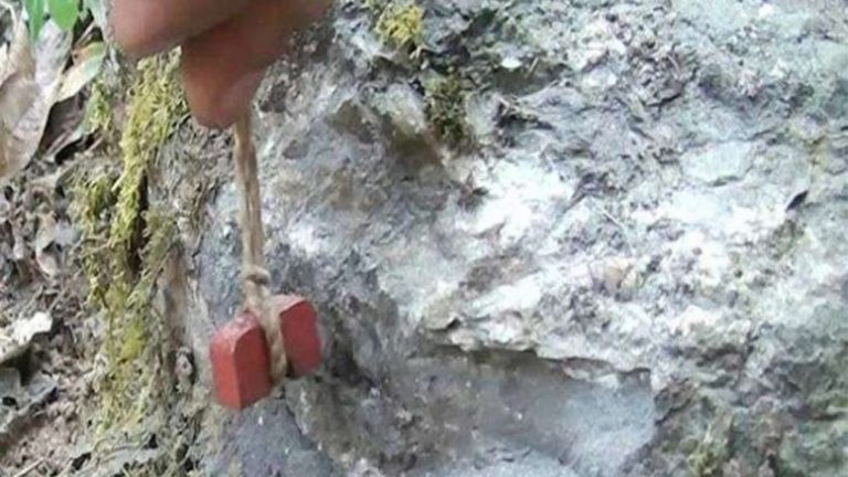 वैशाखदेखि दैलेख र पाल्पाका पेट्रोलियम खानी उत्खनन हुने