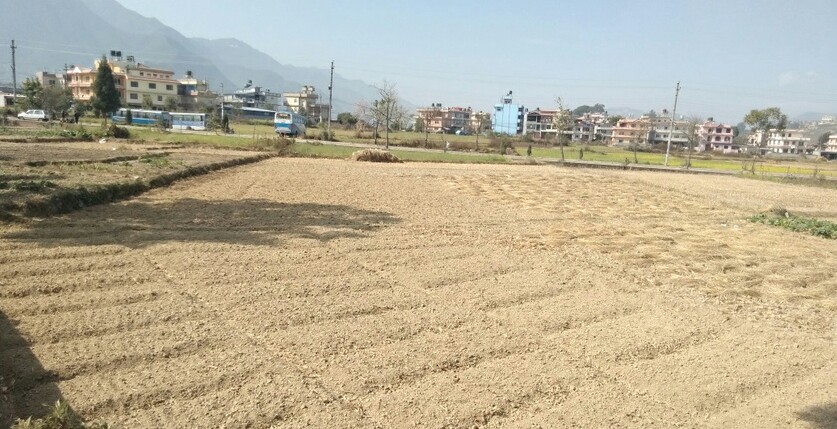 जनप्रतिनिधिले नै झुक्याएर पास गरे अशक्त महिलाको ३२ कट्ठा जग्गा