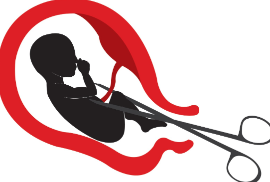 छोरो पाउने आसमा गर्भमै भ्रूण हत्या