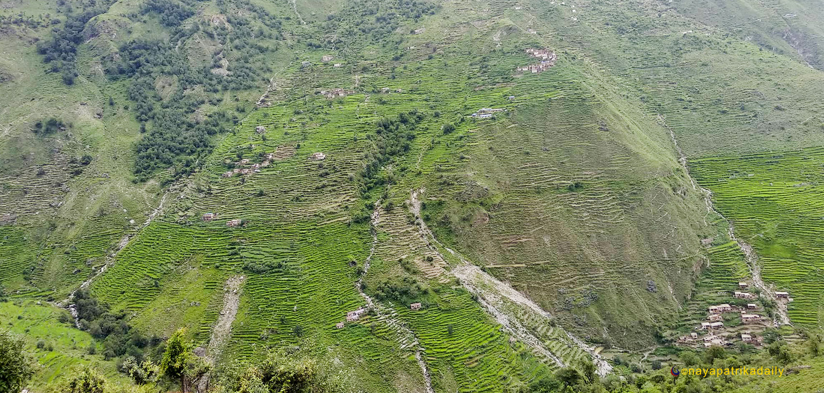 रुघाखोकीको उपचार  नपाएर हुम्लामा नौजनाको मृत्यु, दुई सय बिरामी