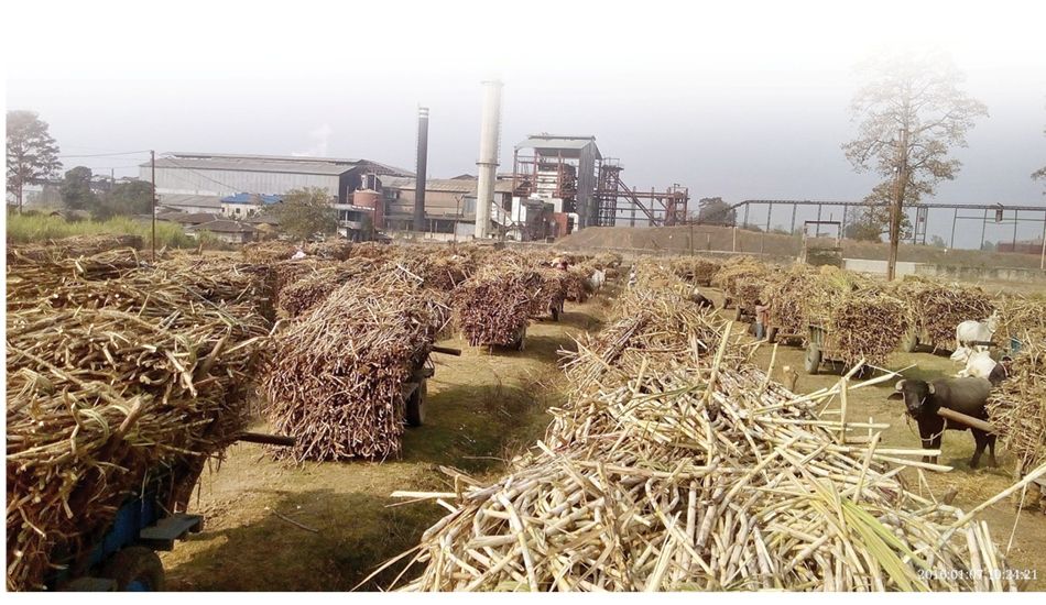 बन्द भए चिनी मिल किसानले एक रुपियाँ पनि पाएनन्