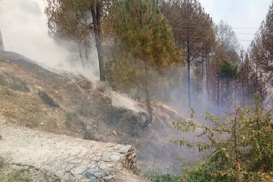 आगो निभाउने क्रममा सल्यानमा एकको मृत्यु एक घाइते