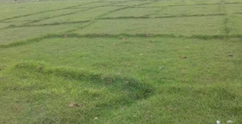 गुठीको हजारौं रोपनी‘जग्गा हडप्न’ विधेयक