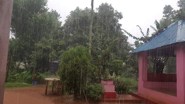 मौसमविद्को सुझावः जीउ र बीउ जोगाउनुहोस्