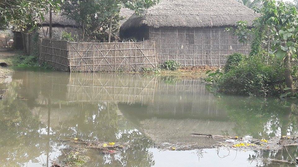 वर्षाका कारण विराटनगर र बाजुरा पनि डुबान