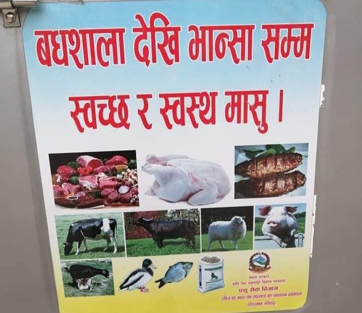 गाईलाई मासुजन्य जनावरको रुपमा प्रचार गरेकोमा राप्रपाको गम्भीर आपत्ति