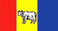 राप्रपा स्वाभिमान यात्राको तेस्रो चरणको कार्यक्रम स्थगित