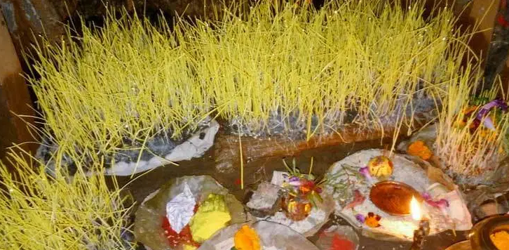 आज फूलपाती, घरघरमा फूलपाती भिर्‍याइँदै