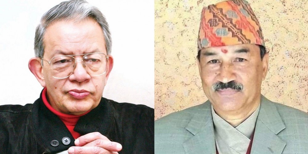 पशुपतिशमशेरको ट्विट पछि हलोको भोट गाइलाई