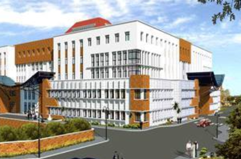 चितवन मेडिकल कलेज परिसरमा गोलीसहित पेस्तोल भेटियो 