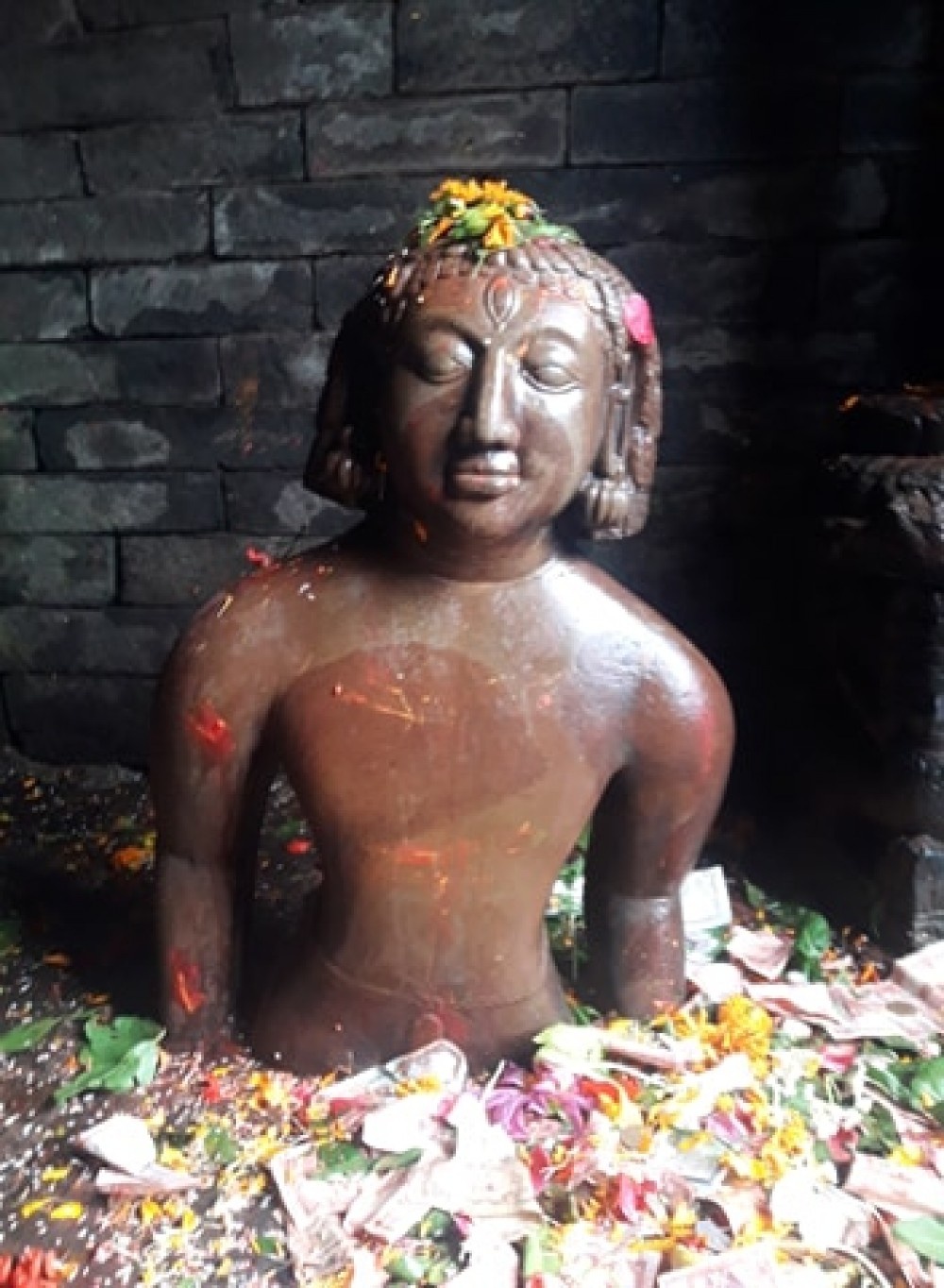 पशुपति क्षेत्रको कली मन्दिरमा तोडफोड तथा नागको मूर्ति चोरी