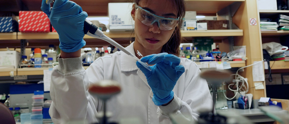 कोभिड–१९ को चिनियाँ भ्याक्सिनको सफल परीक्षण हुँदै