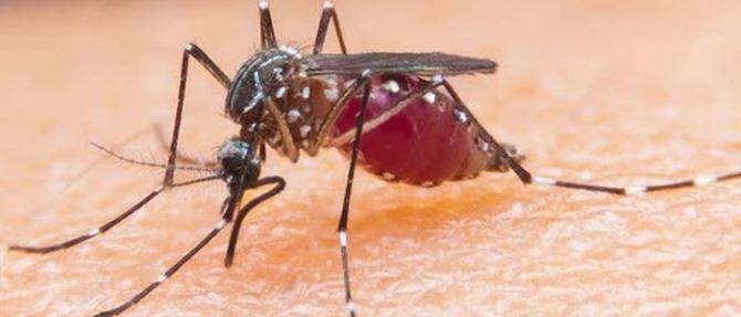 भारतबाट फर्केर क्वारेन्टिनमा बसेका व्यक्तिको अनिवार्य औलो परीक्षण हुने