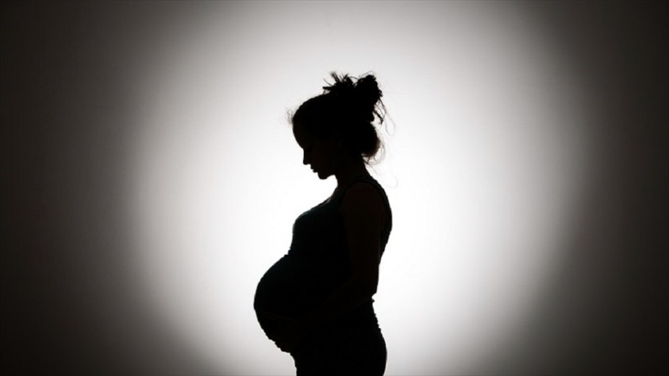 भात खान नपाएपछि गर्भवतीद्वारा आत्महत्या