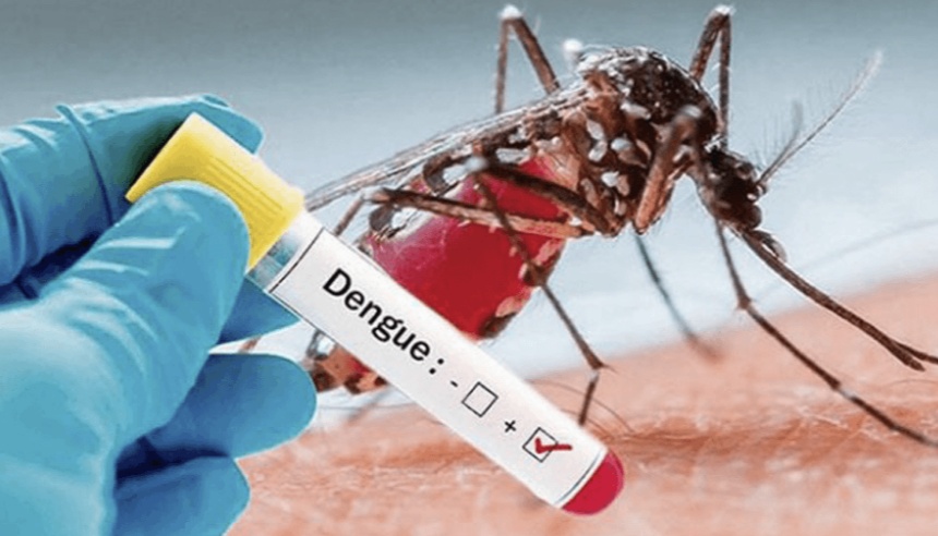 गण्डकीमा डेङ्गुका १०५ र स्क्रब टाइफसका ५४ बिरामी